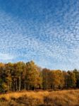 Scenic View Of The Ashdown Forest In Sussex Stock Photo