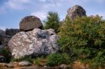 Scenic View Of Brimham Rocks In Yorkshire Dales National Park Stock Photo