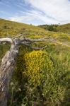 Rural Countryside Stock Photo