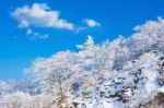 Landscape In Winter,guemosan In Korea Stock Photo