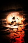 Human Skull On Ruins Place Stock Photo