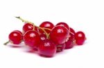 Tasty Red Currant Berries Stock Photo