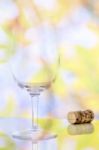 Empty Red Wine Glass And Wine Bottle Cork Stock Photo