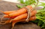 Baby Carrots Bunch Tied With Rope Stock Photo