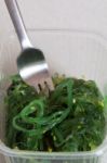 Wakame Seaweed Salad Stock Photo