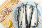 Raw Mackerel Fish Stock Photo