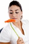 Side Pose Of Woman Looking The Flower Stock Photo