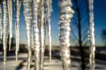 Icicle Stock Photo