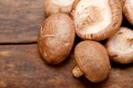 Shiitake Mushrooms Stock Photo