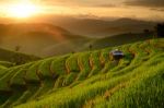 Landscape Of Rice Terraces Stock Photo