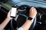 Hand Holding Phone White Screen And Driving Car Stock Photo