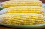 Corn Stock Photo