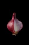 Shallots Still Life Black Background Stock Photo