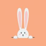 White Easter Rabbit Stock Photo