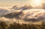 Early Morning Foggy  Sunrise On  Top Of Mountain Soft Focus Grai Stock Photo