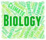 Biology Word Representing Plant Life And Wildlife Stock Photo