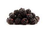 Blackberries Stock Photo