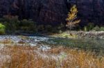 Zion National Park Utah Stock Photo