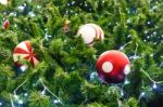 Red Ball And Light Bulb On Pine Tree Stock Photo