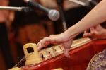 Thai Zither Stock Photo