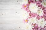 White And Pink Flower On The White Wooden Table Stock Photo