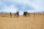 Capbreton Beach Stock Photo