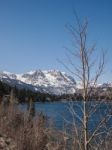 Beautiful Lake, Snow Mountain And Pine Tree Stock Photo