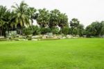 Green Grass Field In Park Stock Photo