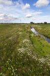 Spring Countryside Water Stream Landscape Stock Photo