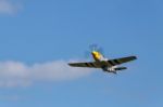 Mustang Ferocious Frankie At Goodwood Stock Photo