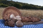 Homemade Bread Stock Photo