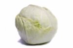 White Cabbage Stock Photo