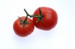 Tomatoes Stock Photo