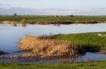 Spring Countryside Lake Landscape Stock Photo