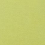 Green Paper Texture Stock Photo