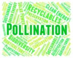 Pollination Word Meaning Words Pollinate And Fertilize Stock Photo