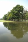 Blurred Image Of Green Park Scenery With Pond Stock Photo