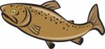 Brown Trout Fish Side Cartoon Stock Photo