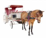 Horse Fairy Tale Carriage Cabin Isolated White Background Use Fo Stock Photo