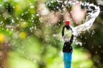 Sprinkler Splashing Stock Photo