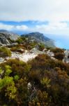 Rock And Landscape On Top Of Table Mountain Stock Photo