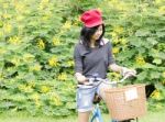 Woman In Park With Bike Stock Photo