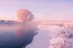 Foggy Winter Dawn Stock Photo