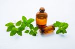 Mint Essential Oil In A Glass Bottle With Leaves On White Backgr Stock Photo