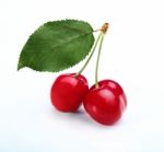 Double Cherry Stock Photo