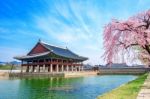 Gyeongbokgung Palace With Cherry Blossom In Spring,south Korea Stock Photo