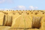 Straw Bales Stock Photo