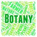 Botany Word Representing Plant Life And Education Stock Photo