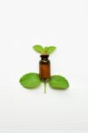 Mint Essential Oil In A Glass Bottle With Leaves On White Backgr Stock Photo