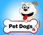 Pet Dogs Means Domestic Animal And Canine Stock Photo